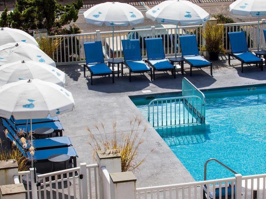Sandpiper Beach Club Cape May Zewnętrze zdjęcie
