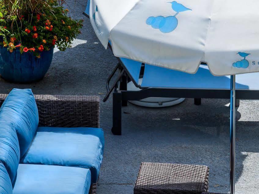 Sandpiper Beach Club Cape May Zewnętrze zdjęcie